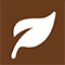 icon speed